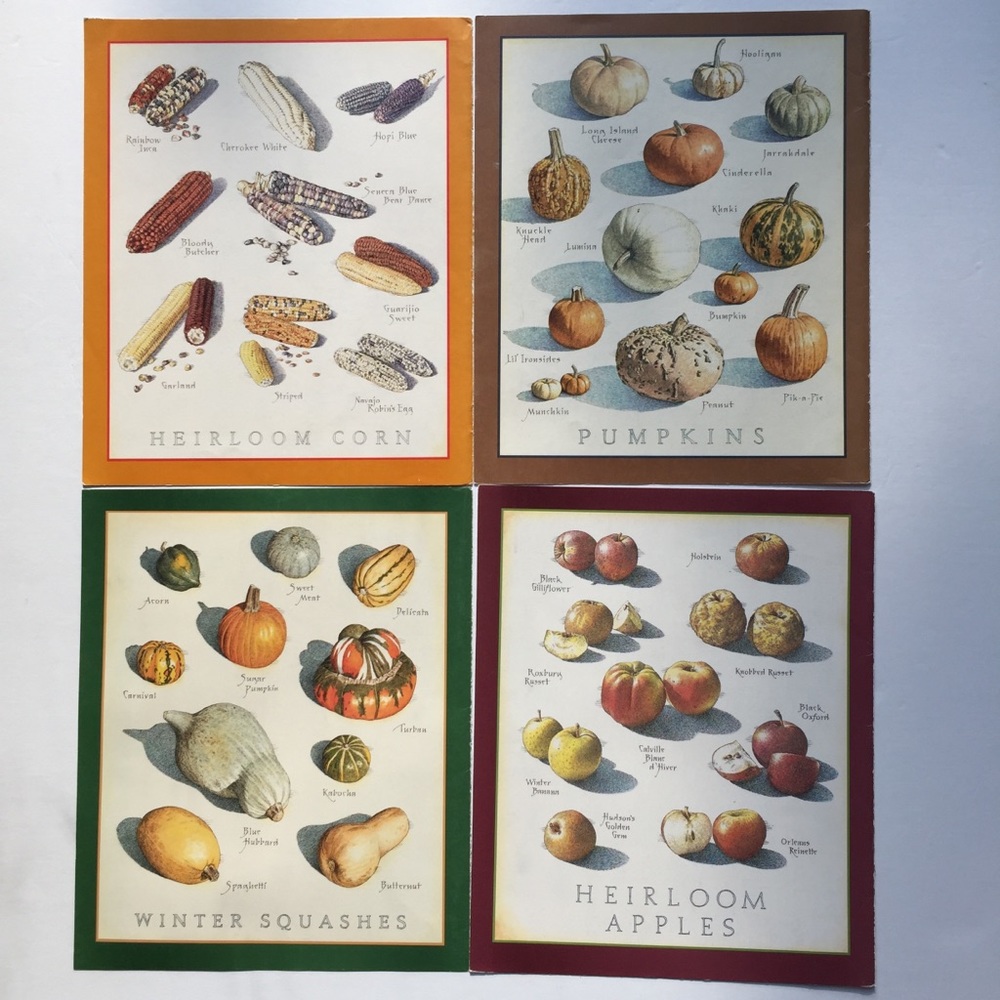 Fall Autumn Kitchen Wall Art Pumpkins Indian Corn